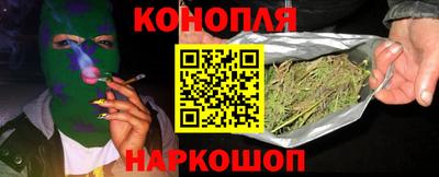 стаф Пенза